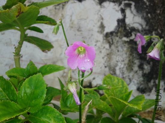 ������С 20120708_134745.jpg