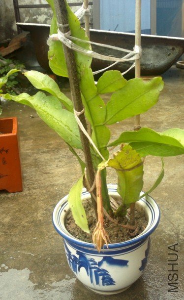 QQ��ͼ20120709074849.jpg