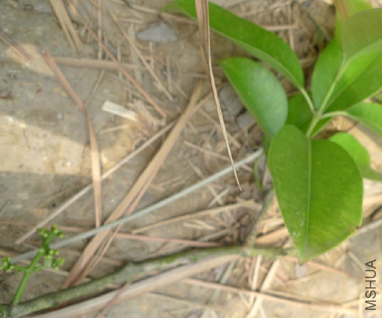 2012-7-9 ���� 10-24-00.jpg