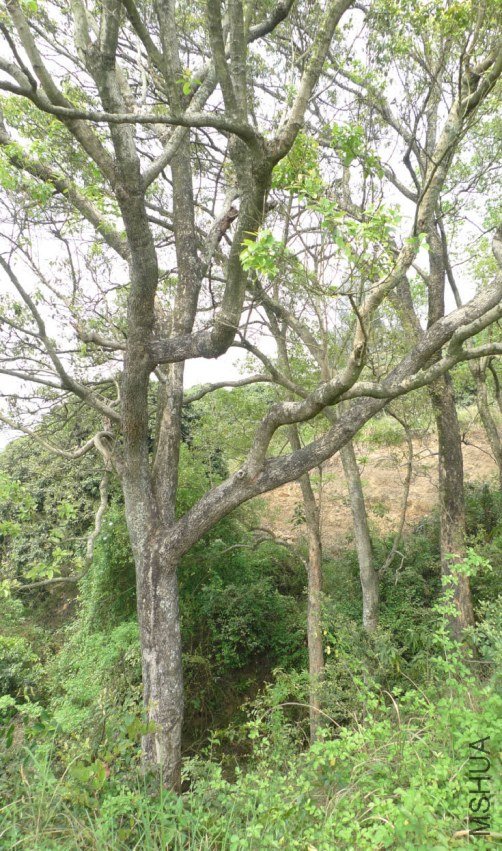 2012-7-9 ���� 10-22-22.jpg