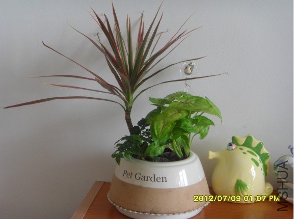 QQ��ͼ20120709125941.jpg