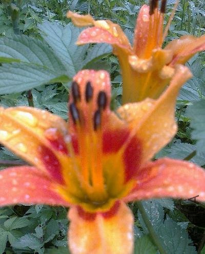 IMGSRC_20120709141152_11.jpg