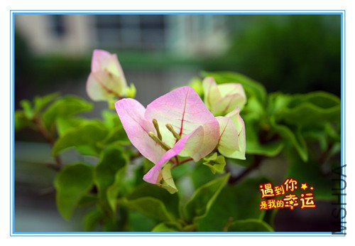 ��Ƭ 001_����.jpg