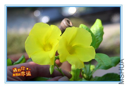 ��Ƭ 005_����_����.jpg