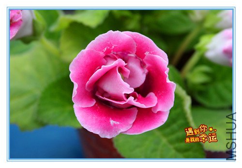 ��Ƭ 008_����.jpg