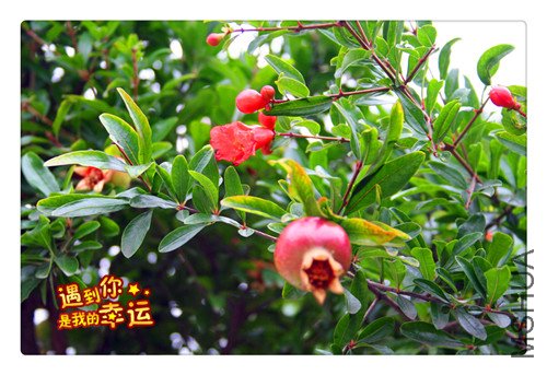 ��Ƭ 014_����.jpg