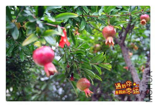 ��Ƭ 015_����.jpg