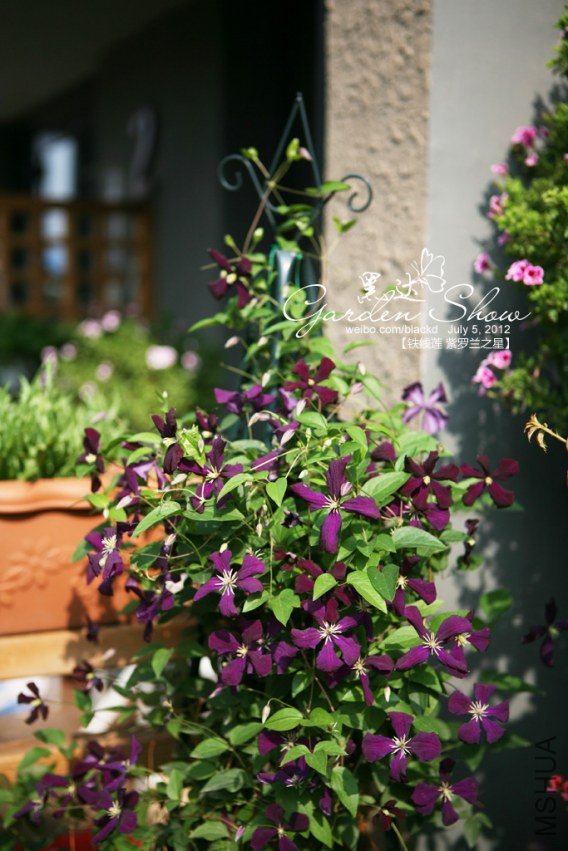 IMG_4064 ����.jpg