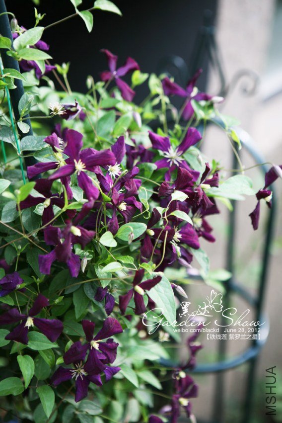 IMG_3985 ����.jpg