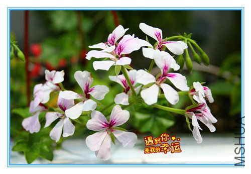 ��Ƭ 032_��������.jpg