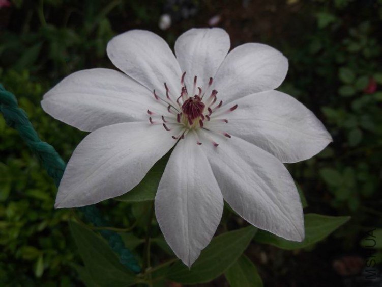 DSCF1643.jpg