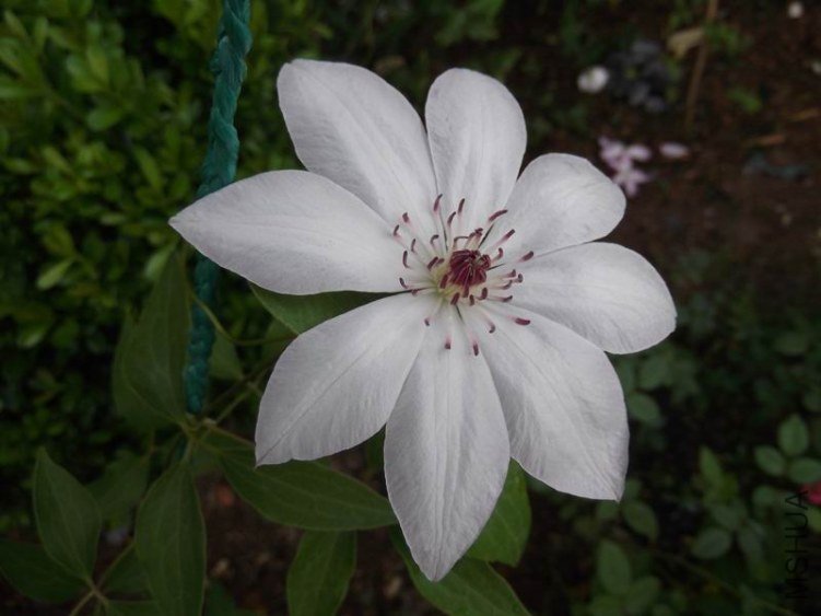 DSCF1646.jpg