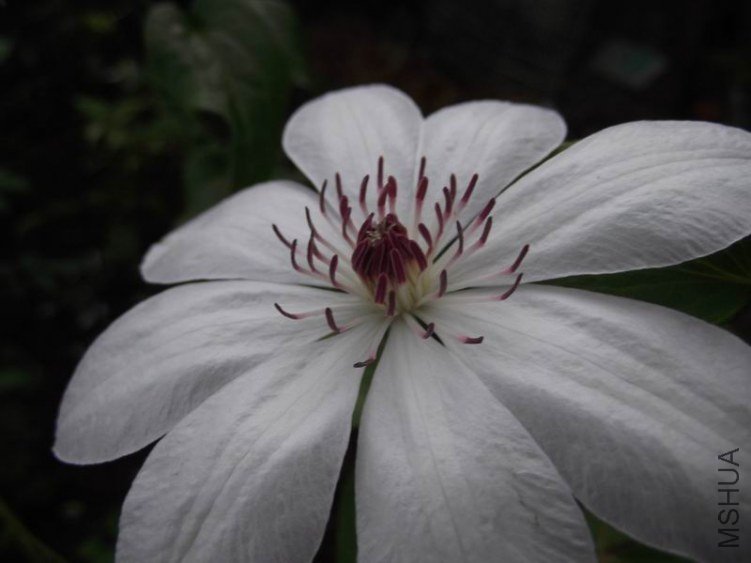 DSCF1661.jpg