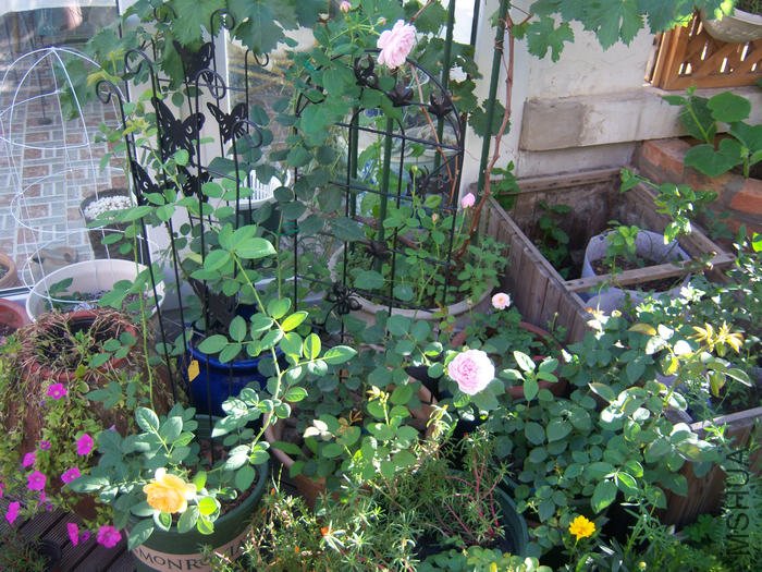 100_3157.JPG