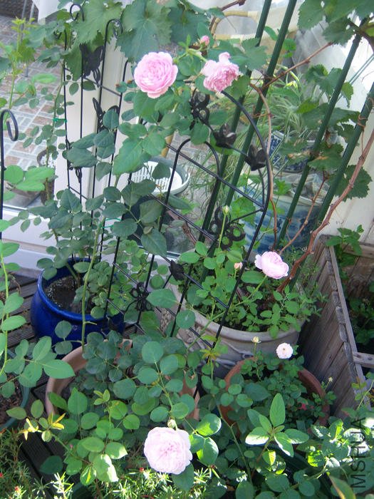 100_3158.JPG