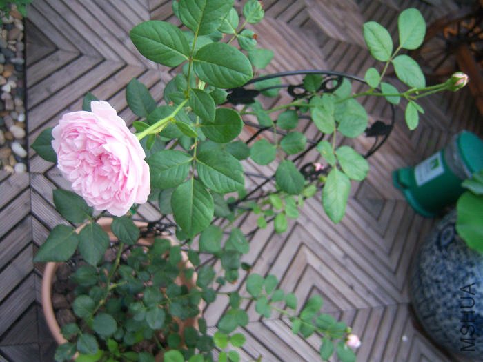 100_3143.JPG