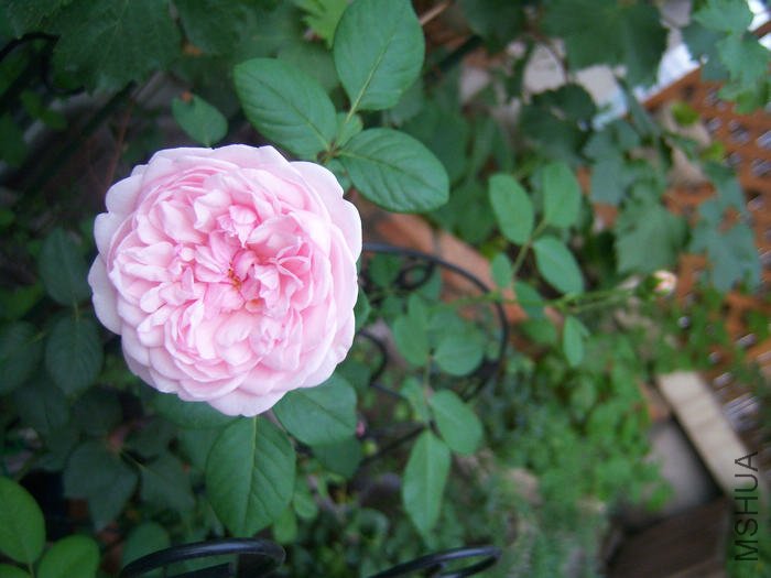 100_3128.JPG