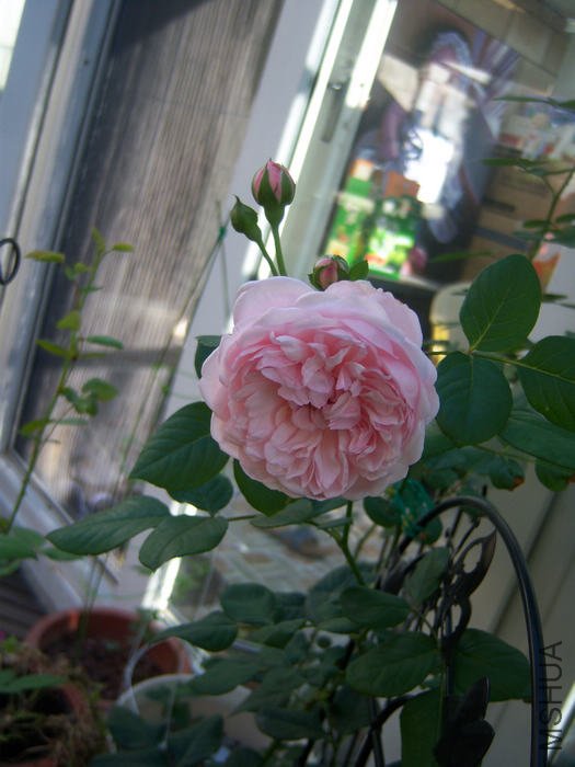 100_3156.JPG