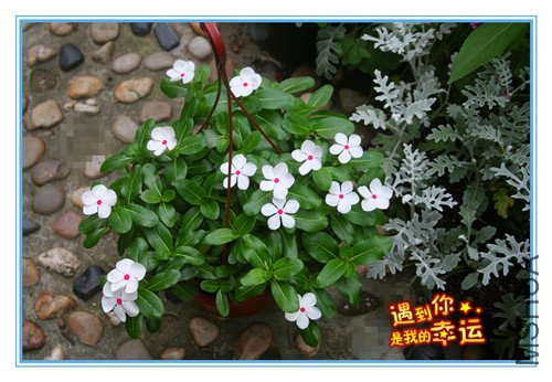 ��Ƭ 093_����.jpg