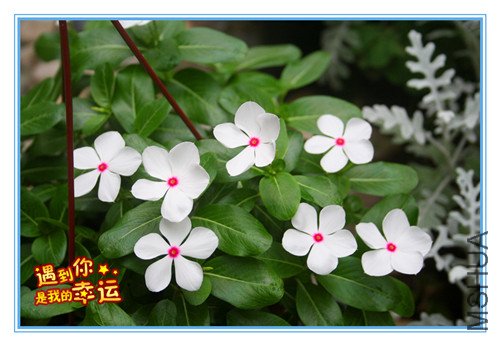 ��Ƭ 095_����.jpg