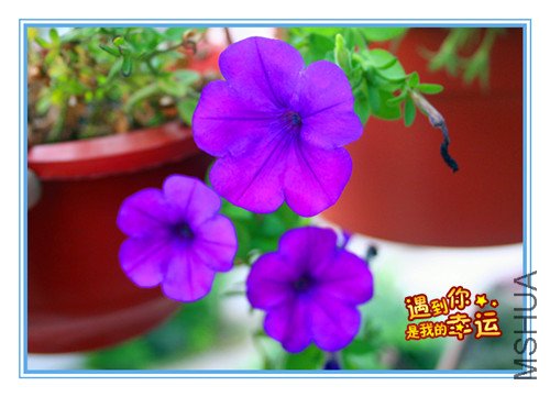 ��Ƭ 063_����.jpg