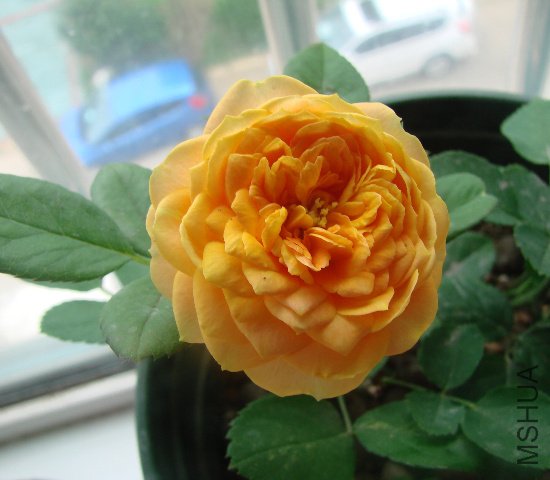 DSC04081.JPG