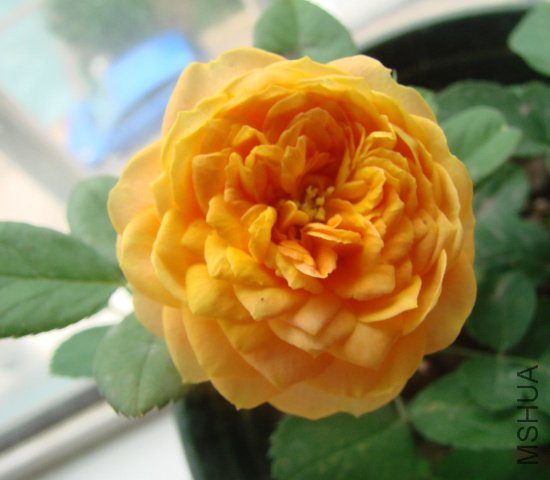 DSC04082.JPG