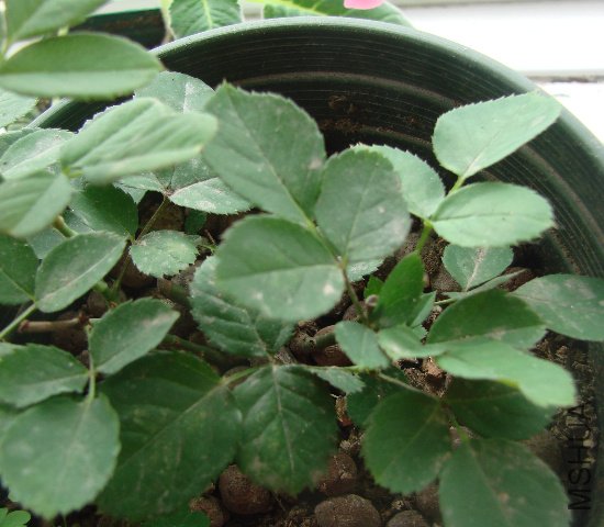 DSC04087.JPG