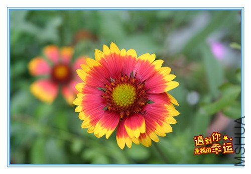 ��Ƭ 016_����.jpg