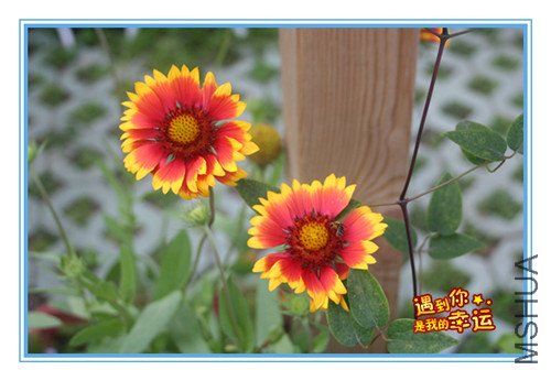 ��Ƭ 075_����.jpg