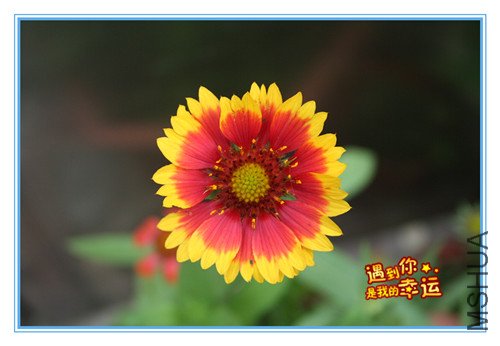 ��Ƭ 089_������.jpg