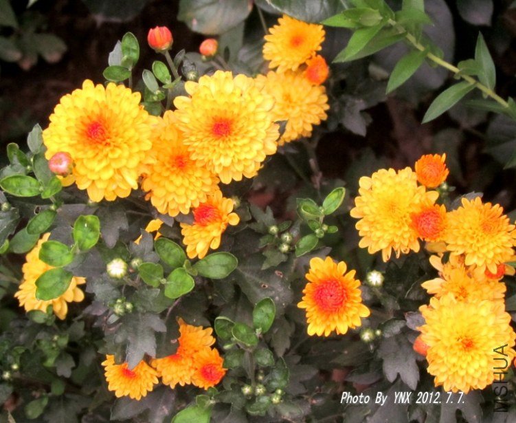 2012.7.7. 008_conew1.jpg