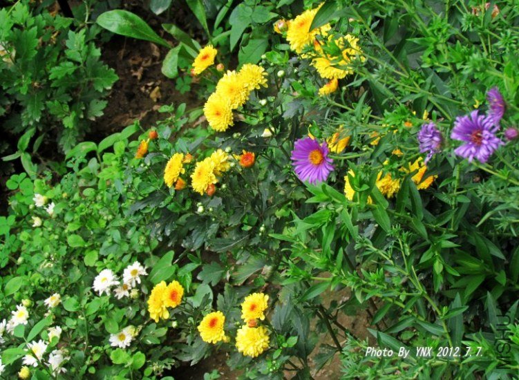 2012.7.7. 042_conew1.jpg