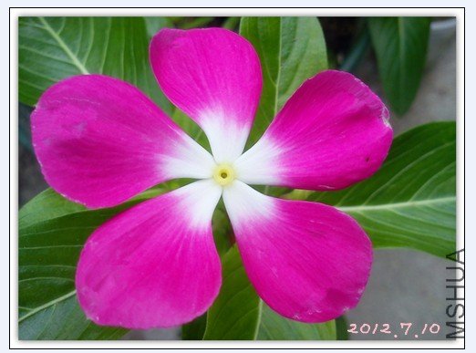 QQ��ͼ20120711105203.jpg