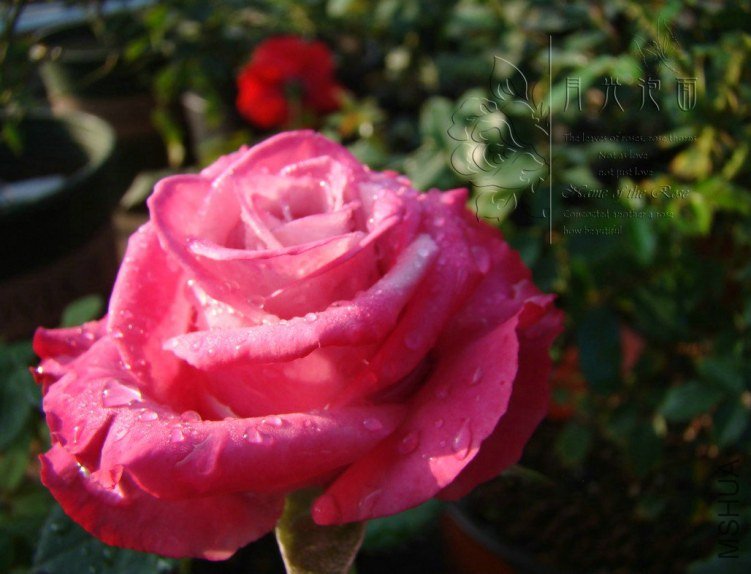 QQ��ͼ20120711094608_1.jpg