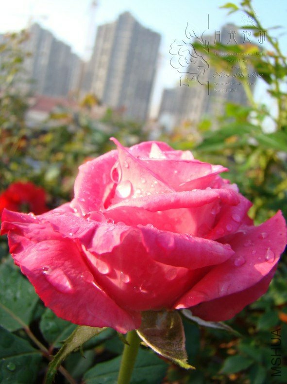 QQ��ͼ20120711094626_1.jpg