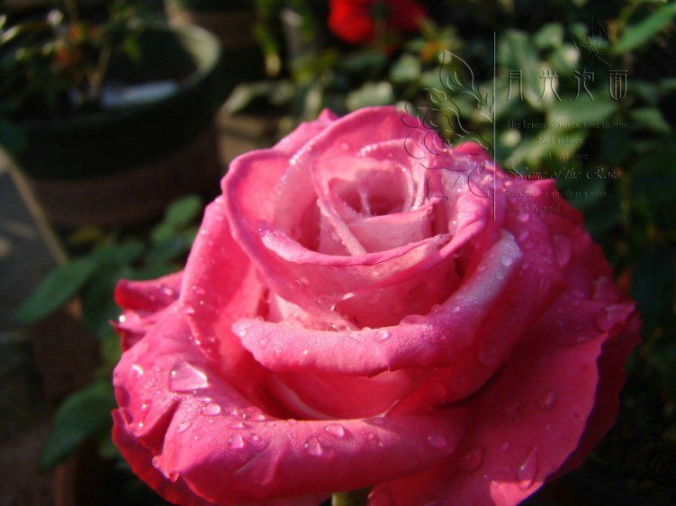 QQ��ͼ20120711094638_1.jpg