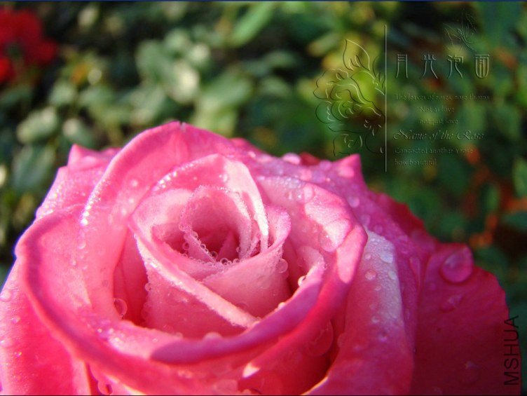 QQ��ͼ20120711094648_1.jpg