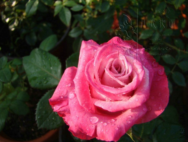 QQ��ͼ20120711094659_1.jpg