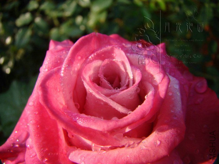 QQ��ͼ20120711094709_1.jpg