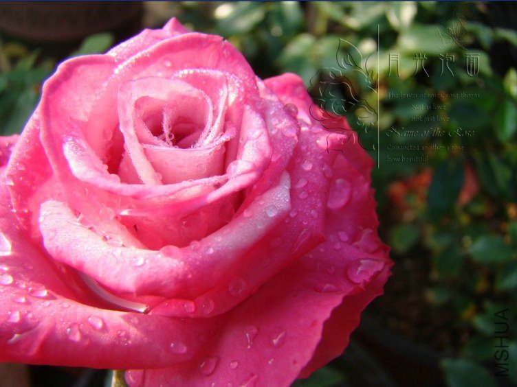 QQ��ͼ20120711094737_1.jpg