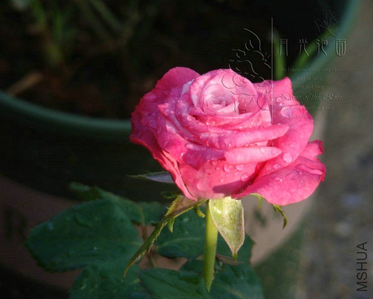 QQ��ͼ20120711094922_1.jpg