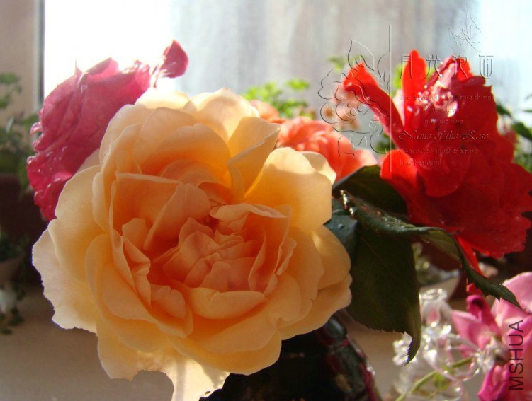 QQ��ͼ20120711095000_1.jpg