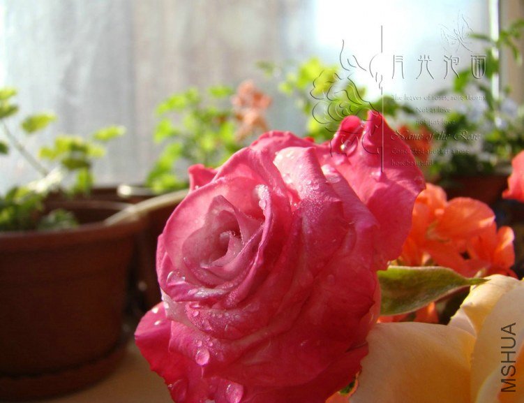 QQ��ͼ20120711095011_1.jpg
