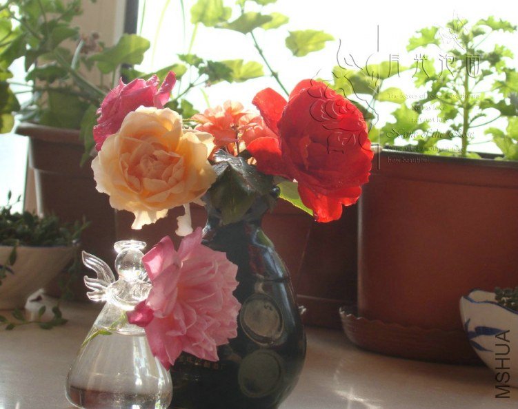 QQ��ͼ20120711095044_1.jpg