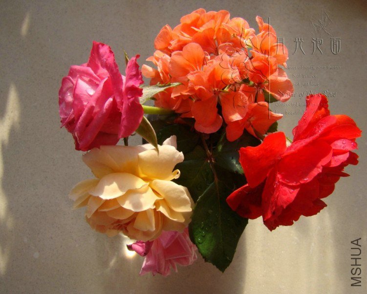 QQ��ͼ20120711095114_1.jpg