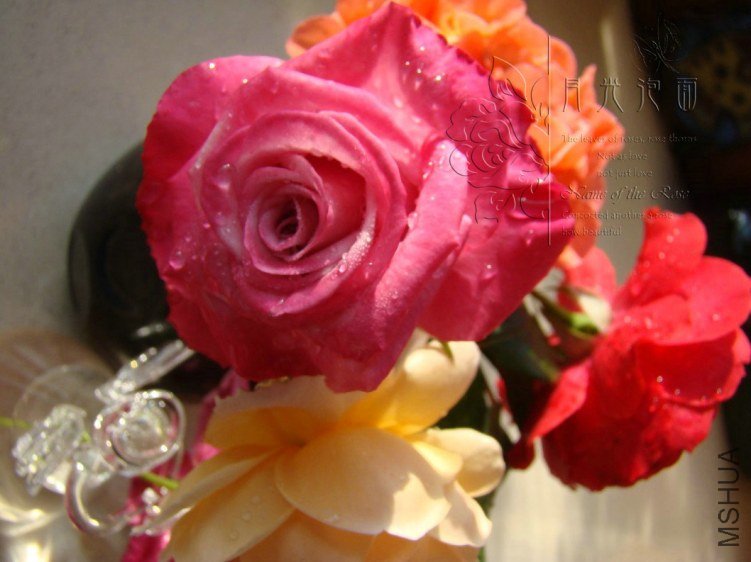 QQ��ͼ20120711095123_1.jpg