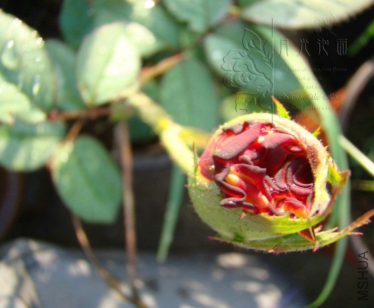 QQ��ͼ20120711094440_1.jpg