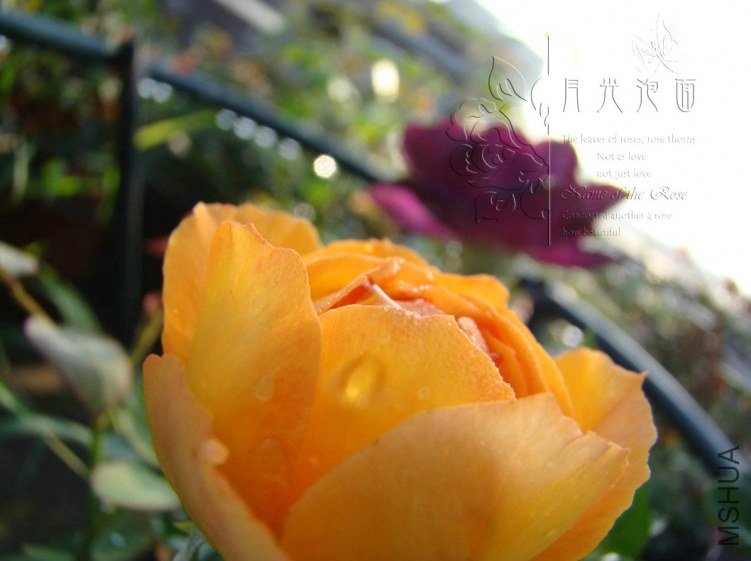QQ��ͼ20120711094512_1.jpg