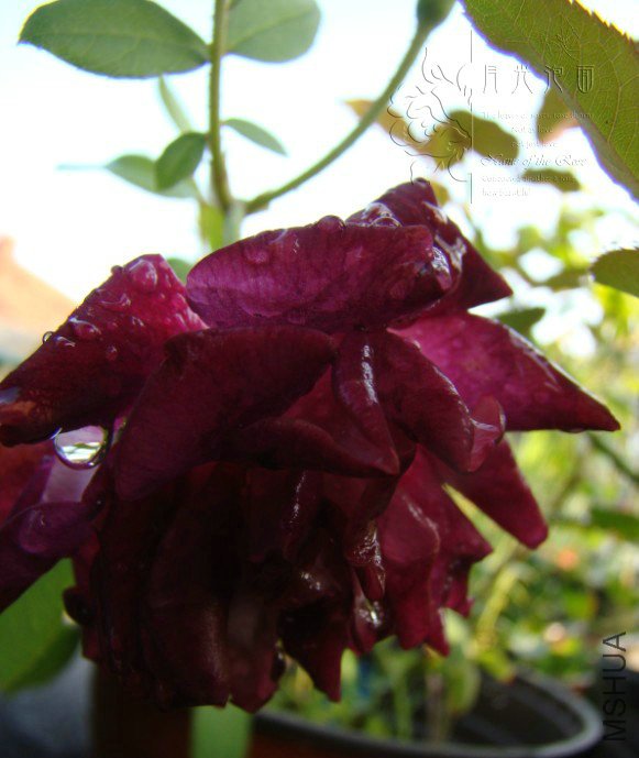 QQ��ͼ20120711094416_1.jpg